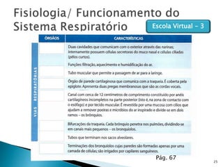 25
Escola Virtual - 3
Pág. 67
 
