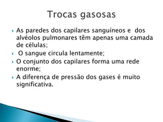  As paredes dos capilares sanguíneos e dos
alvéolos pulmonares têm apenas uma camada
de células;
 O sangue circula lentamente;
 O conjunto dos capilares forma uma rede
enorme;
 A diferença de pressão dos gases é muito
significativa.
 