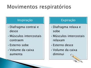 Inspiração
•Diafragma contrai e
desce
•Músculos intercostais
contraem
•Esterno sobe
•Volume da caixa
aumenta
Expiração
•Diafragma relaxa e
sobe
•Músculos intercostais
relaxam
•Esterno desce
•Volume da caixa
diminui
 