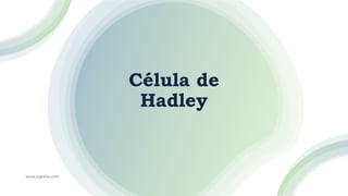 Célula de
Hadley
www.jografia.com
 
