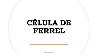 CÉLULA DE
FERREL
www.jografia.com
 