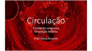 Circulação
Circulação sanguínea
Circulação linfática
Prof. Isana Amorim
 