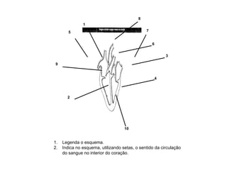 Legenda o esquema. Indica no esquema, utilizando setas, o sentido da circulação do sangue no interior do coração. 1 9 10 8 4 3 6 2 5 7 