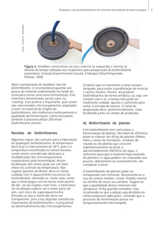 3Produção e uso de biofertlizantes em sistemas de produção de base ecológica
Após a preparação de qualquer tipo de
biofertilizante, é recomendável guardar um
pouco de material sedimentado no fundo do
tonel para iniciar uma nova fermentação. Este
material é denominado ‘pé-de-cuba’ ou
‘starting’. Esta prática é importante, pois assim
são selecionados microorganismos adaptados
a viver no material de origem do
biofertilizante; isto melhorará continuamente a
qualidade da fermentação. Como inoculante
também é possível utilizar 250 ml de
biofertilizante pronto.
Receitas de biofertilizantesReceitas de biofertilizantesReceitas de biofertilizantesReceitas de biofertilizantesReceitas de biofertilizantes
Algumas regras são comuns para a fabricação
de quaisquer biofertilizantes. A temperatura
deve ficar o mais próximo de 38°C, pois é a
temperatura encontrada no rúmem bovino,
sendo assim considerada ideal para a
multiplicação dos microorganismos
responsáveis pela fermentação. Assim
localização dos tonéis pode ser um fator
chave no controle da temperatura. Nas
regiões quentes do Brasil, deve-se tomar
cuidado com o aquecimento excessivo do
biofertilizante, devendo-se, neste caso, evitar
que o tonel pegue sol nas horas mais quente
do dia. Já nas regiões mais frias, o tonel deve
ser localizado à pleno sol a maior parte do
ano, sem risco de superaquecimento.
Ressalta-se que o tonel não deve ser
transparente, pois a luz degrada substâncias
importantes do biofertilizante e é prejudicial
ao desenvolvimento dos microorganismos.
Figura 2.Figura 2.Figura 2.Figura 2.Figura 2. Detalhes construtivos da face externa (a esquerda) e interna (a
direita) da tampo utilizada nos recipientes para preparação do biofertilizante
anaeróbico. Estação Experimental Cascata, Embrapa ClimaTemperado,
Pelotas, 2008.
Fotos:GustavoSchiedeck
O ideal é que se mantenha o tonel sempre
tampado, para evitar a proliferação de moscas
e outros insetos. Porém, ao produzir
biofertilizantes de forma aeróbica, ou seja, em
contato com o ar, a tampa não pode ser
totalmente vedada, apenas o suficiente para
evitar a entrada de insetos. O tonel de
preparação deve, preferencialmente, estar
localizado junto ao campo de produção.
A) Biofertilizante de plantasA) Biofertilizante de plantasA) Biofertilizante de plantasA) Biofertilizante de plantasA) Biofertilizante de plantas
Este biofertilizante tem como base a
fermentação de plantas. No tonel de 250 litros
pode-se colocar até 60 kg de plantas (folhas,
talos e raízes de hortaliças, resíduos de
roçada ou de plantas que crescem
espontaneamente na área), e
aproximadamente 200 litros de água, o
suficiente para que o material fique boiando.
As plantas e a água podem ser colocadas aos
poucos, diariamente ou semanalmente, até
completar o tonel.
O biofertilizante de plantas pode ser
enriquecido com minerais. Recomenda-se o
uso de rochas moídas, cinzas, fosfato natural
ou farinha de ossos ou conchas. Sugere-se
que a quantidade destes minerais não
ultrapasse 10 Kg quando somados, mas
recomenda-se que a adição seja dividida em
vários pequenas aplicações, evitando que o
processo de fermentação possa ser
temporariamente interrompido.
 