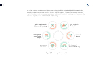 Circular Economy Report | PDF