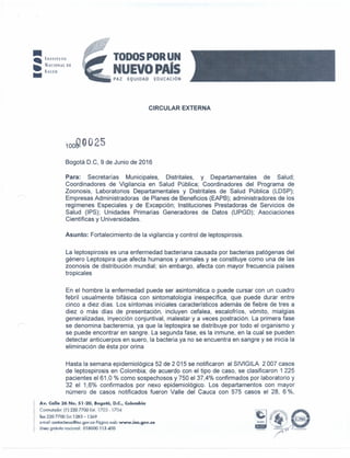 TODOS POR UN
NU o S
PAZ eQUmAO EOUCACtÓN
CIRCULAR EXTERNA
Bogotá D.C, 9 de Junio de 2016
Para: Secretarías Municipales, Distritales, y Departamentales de Salud;
Coordinadores de Vigilancia en Salud Pública; Coordinadores del Programa de
Zoonosis, Laboratorios Departamentales y Distritales de Salud Pública (LDSP);
Empresas Administradoras de Planes de Beneficios (EAPB); administradores de los
regímenes Especiales y de Excepción; Instituciones Prestadorasde Servicios de
Salud (IPS); Unidades Primarias Generadores de Datos (UPGD); Asociaciones
Científicas y Universidades.
Asunto: Fortalecimiento de la vigilancia y control de leptospirosis.
La leptospirosis es una enfermedad bacteriana causada por bacterias patógenas del
género Leptospira que afecta humanos y animales y se constituye como una de las
zoonosis de distribución mundial; sin embargo, afecta con mayor frecuencia países
tropicales
En el hombre la enfermedad puede ser asintomática o puede cursar con un cuadro
febril usualmente bifásica con sintomatología inespecífica, que puede durar entre
cinco a diez días. Los síntomas iníciales característicos además de fiebre de tres a
diez o más días de presentación, incluyen cefalea, escalofríos, vómito, mialgias
generalizadas, inyección conjuntival, malestar y a veces postración. La primera fase
se denomina bacteremia, ya que la leptospira se distribuye por todo el organismo y
se puede encontrar en sangre. La segunda fase, es la inmune, en la cual se pueden
detectar anticuerpos en suero, la bacteria ya no se encuentra en sangre y se inicia la
eliminación de ésta por orina
Hasta la semana epidemiológica 52 de 2 015 se notificaron al SIVIGILA 2007 casos
de leptospirosis en Colombia; de acuerdo con el tipo de caso, se clasificaron 1 225
pacientes el 61,0 % como sospechosos y 750 el 37,4% confirmados por laboratorio y
32 el 1,6% confirmados por nexo epidemiológico. Los departamentos con mayor
número de casos notificados fueron Valle del Cauca con 575 casos el 28, 6 %,
Av. Calle 26 N~. 51-20,. 8ogótá~ D,C., Colombia
Conmutaoor: (11220 7700 EX!. 1703·· 17',)4
fax 220 7700 E:4.1283 -1269
(>!tlarl: ron'Oi'.Jenos@¡I'l~ ..gpv'.ct> PáglnQ 'Milb:www-itíl'.góV.(6
U'nao grtlluita. noeíoml: 01$000 113400
 