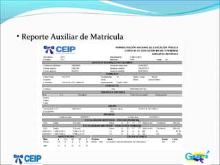 • Reporte Auxiliar de MatrículaReporte Auxiliar de Matrícula
 