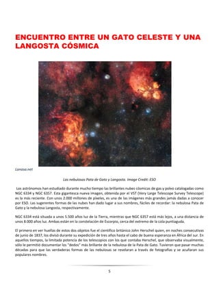 5
ENCUENTRO ENTRE UN GATO CELESTE Y UNA
LANGOSTA CÓSMICA
Lanasa.net
Las nebulosas Pata de Gato y Langosta. Image Credit: ESO
Los astrónomos han estudiado durante mucho tiempo las brillantes nubes cósmicas de gas y polvo catalogadas como
NGC 6334 y NGC 6357. Esta gigantesca nueva imagen, obtenida por el VST (Very Large Telescope Survey Telescope)
es la más reciente. Con unos 2.000 millones de píxeles, es una de las imágenes más grandes jamás dadas a conocer
por ESO. Las sugerentes formas de las nubes han dado lugar a sus nombres, fáciles de recordar: la nebulosa Pata de
Gato y la nebulosa Langosta, respectivamente.
NGC 6334 está situada a unos 5.500 años luz de la Tierra, mientras que NGC 6357 está más lejos, a una distancia de
unos 8.000 años luz. Ambas están en la constelación de Escorpio, cerca del extremo de la cola puntiaguda.
El primero en ver huellas de estos dos objetos fue el científico británico John Herschel quien, en noches consecutivas
de junio de 1837, los divisó durante su expedición de tres años hasta el cabo de buena esperanza en África del sur. En
aquellos tiempos, la limitada potencia de los telescopios con los que contaba Herschel, que observaba visualmente,
sólo le permitió documentar los "dedos" más brillante de la nebulosa de la Pata de Gato. Tuvieron que pasar muchas
décadas para que las verdaderas formas de las nebulosas se revelaran a través de fotografías y se acuñaran sus
populares nombres.
 