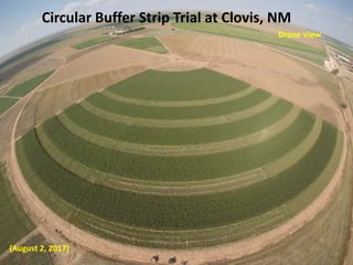 Circular buffer strips | PPTX