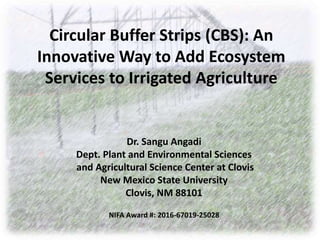 Circular Buffer Strips (CBS): An
Innovative Way to Add Ecosystem
Services to Irrigated Agriculture
Dr. Sangu Angadi
Dept. Plant and Environmental Sciences
and Agricultural Science Center at Clovis
New Mexico State University
Clovis, NM 88101
NIFA Award #: 2016-67019-25028
 