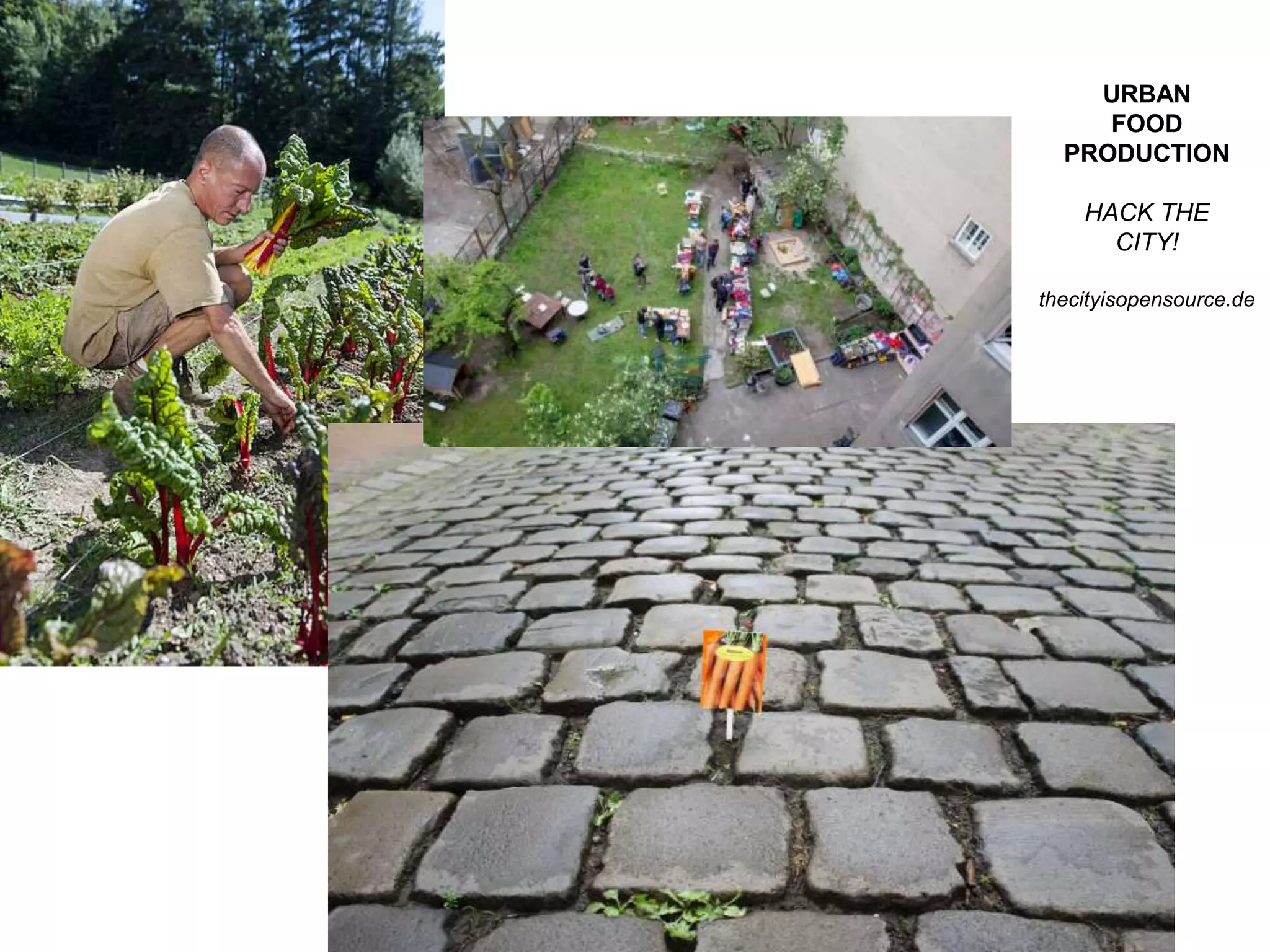 URBAN
FOOD
PRODUCTION
HACK THE
CITY!
thecityisopensource.de
 