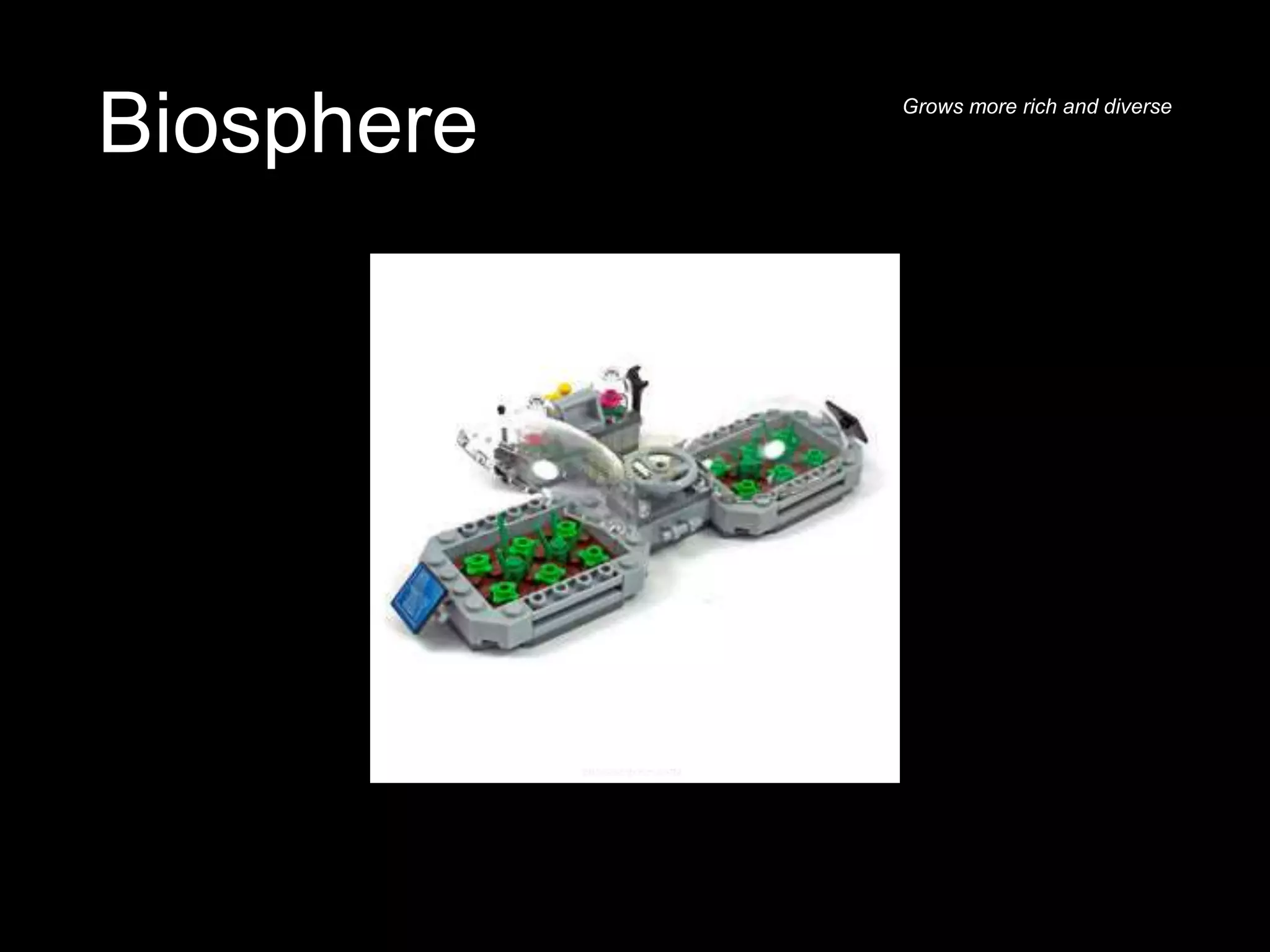 Biosphere Grows more rich and diverse
 