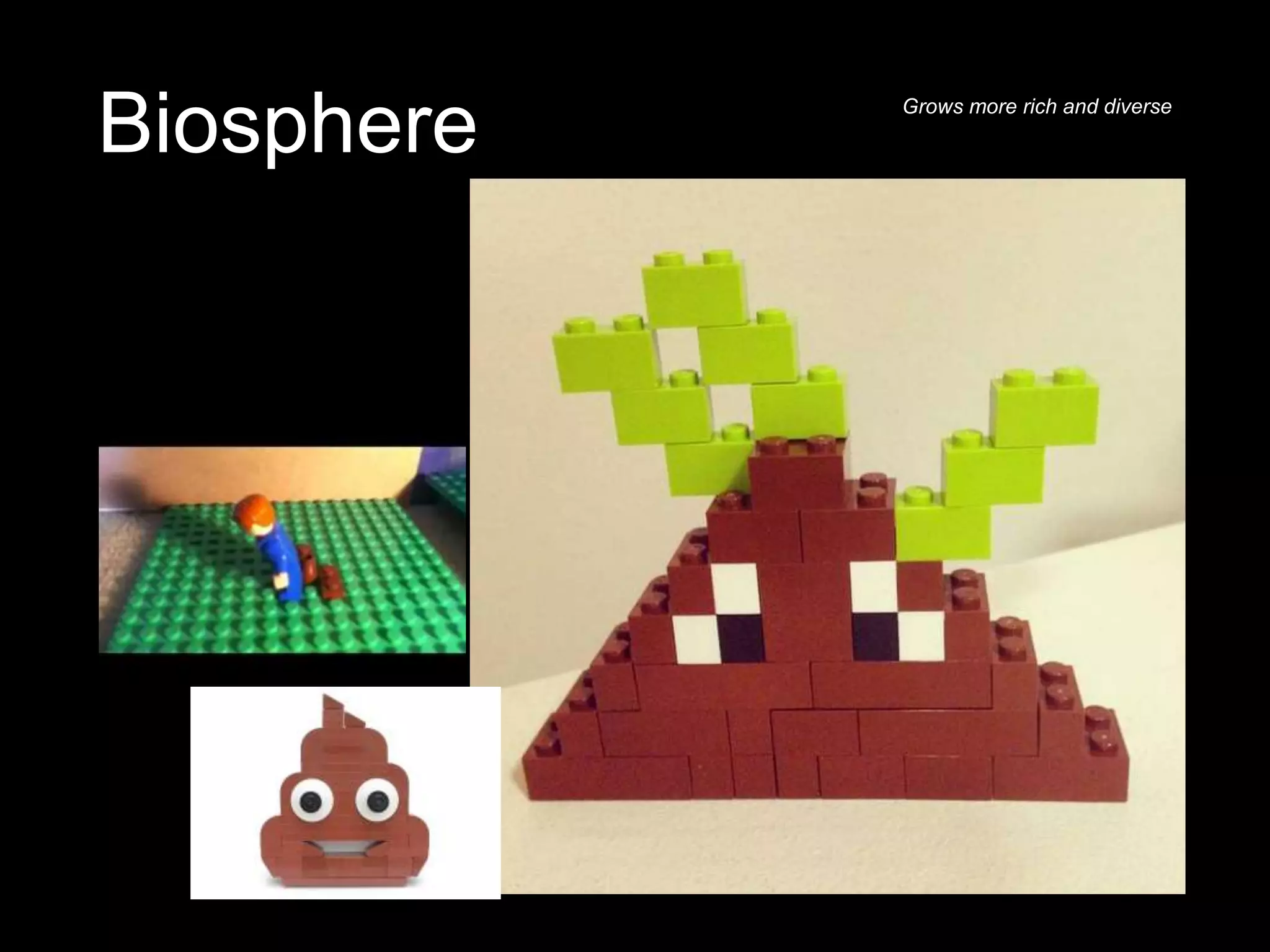 Biosphere Grows more rich and diverse
 