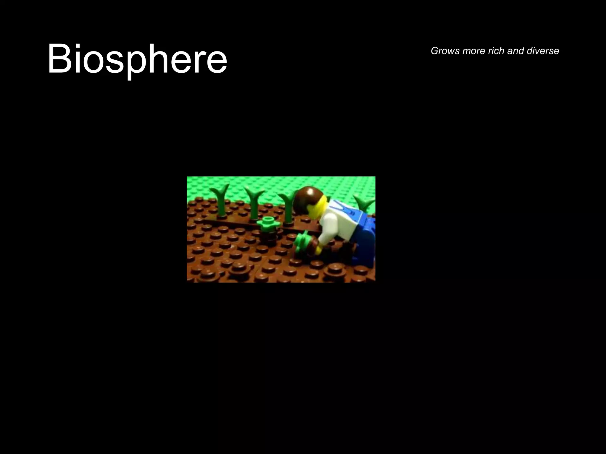 Biosphere Grows more rich and diverse
 