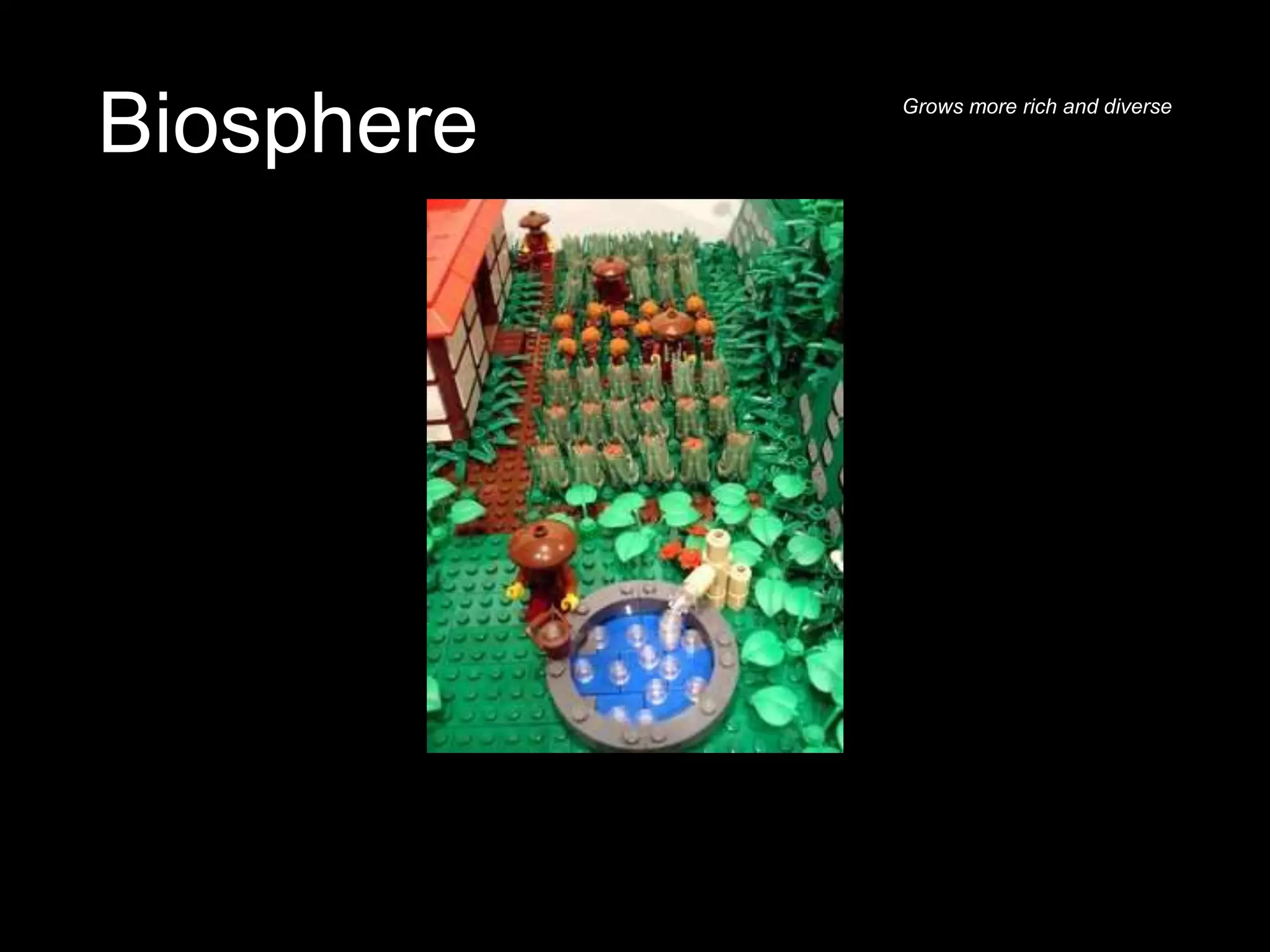 Biosphere Grows more rich and diverse
 