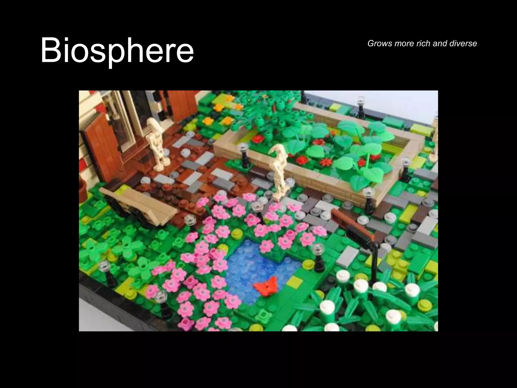 Biosphere Grows more rich and diverse
 