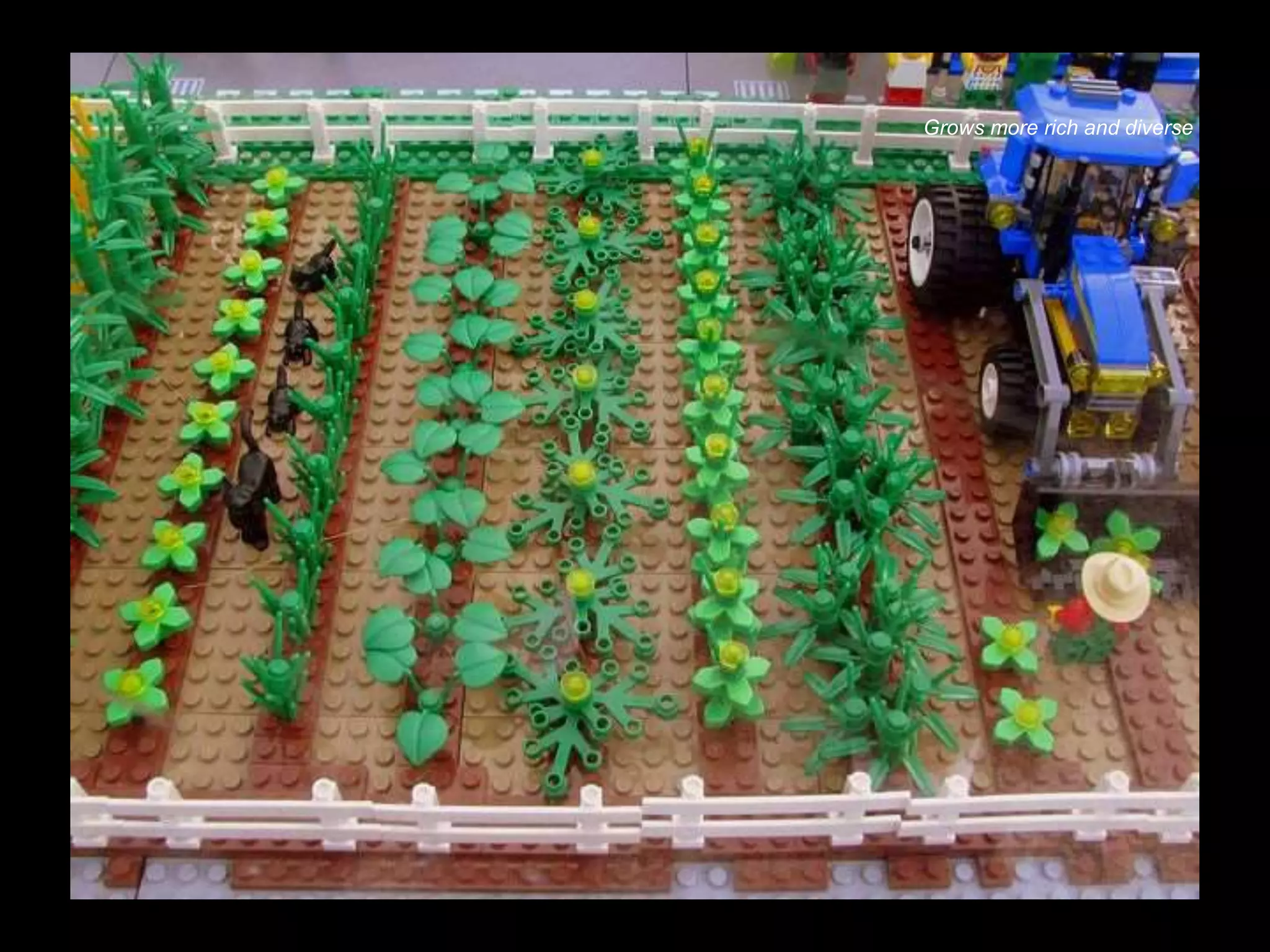 Biosphere Grows more rich and diverse
Grows more rich and diverse
 