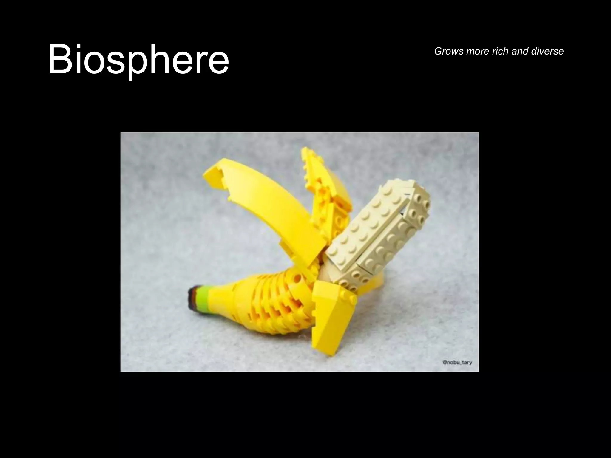 Biosphere Grows more rich and diverse
 