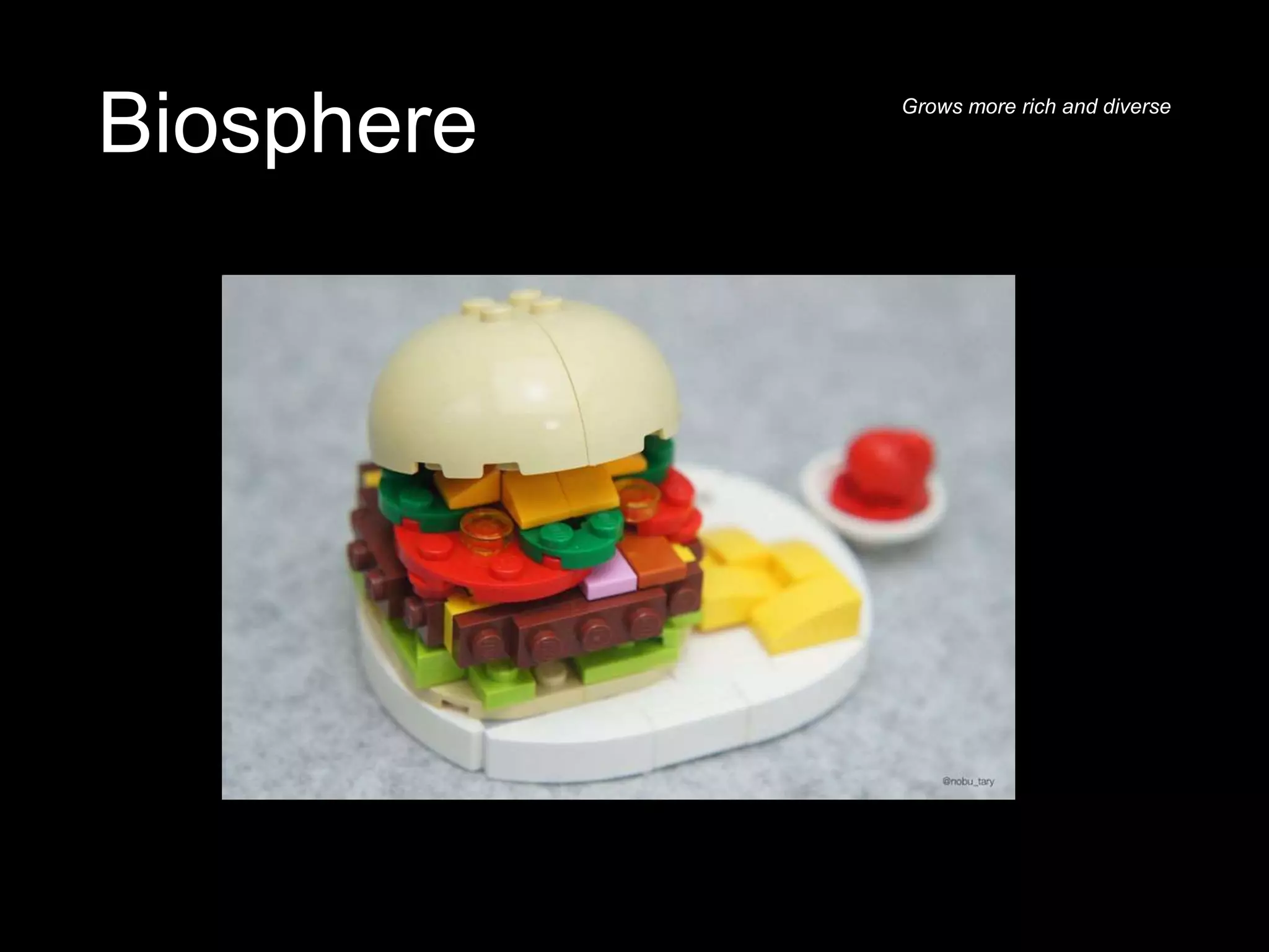 Biosphere Grows more rich and diverse
 