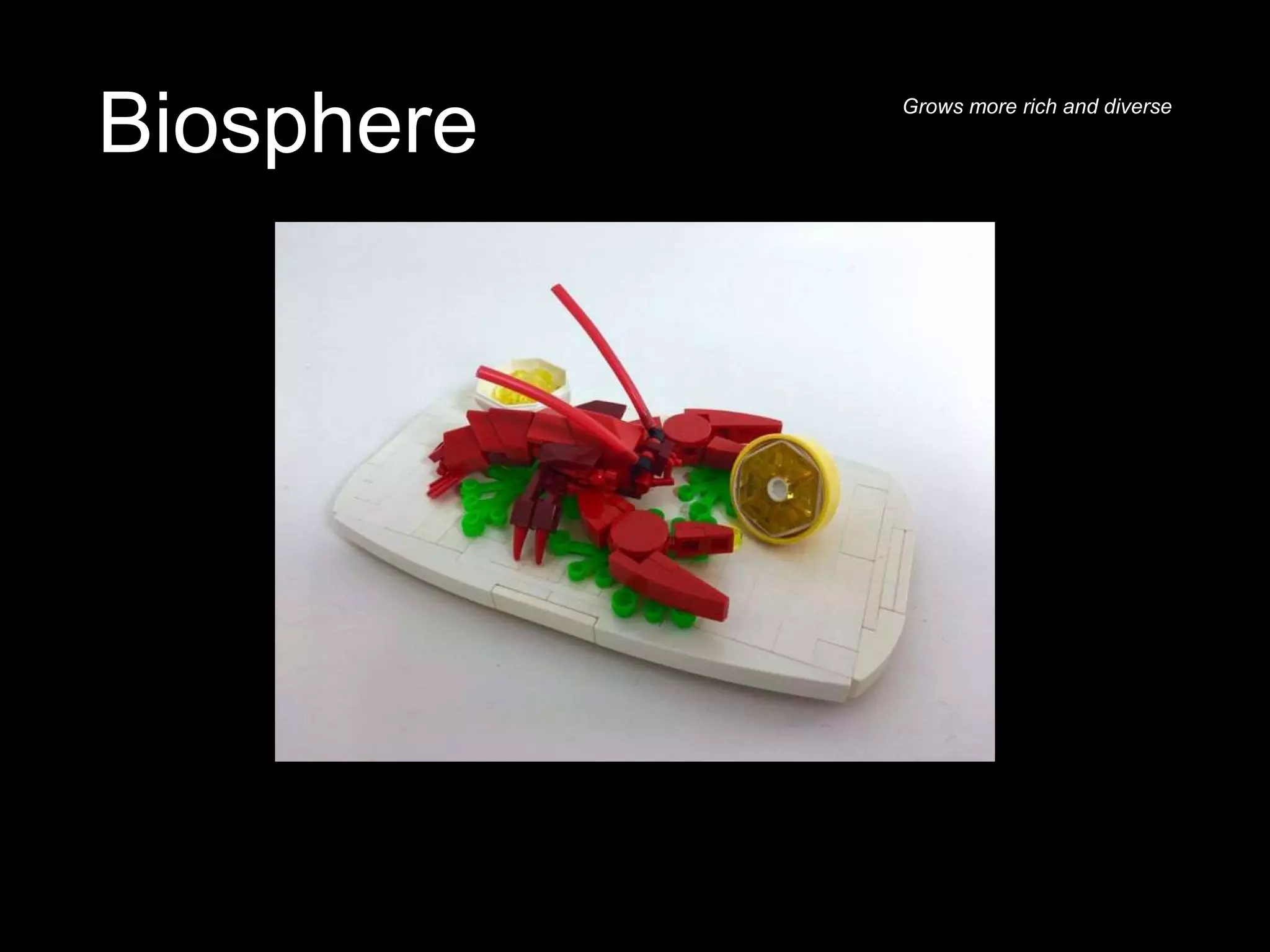 Biosphere Grows more rich and diverse
 