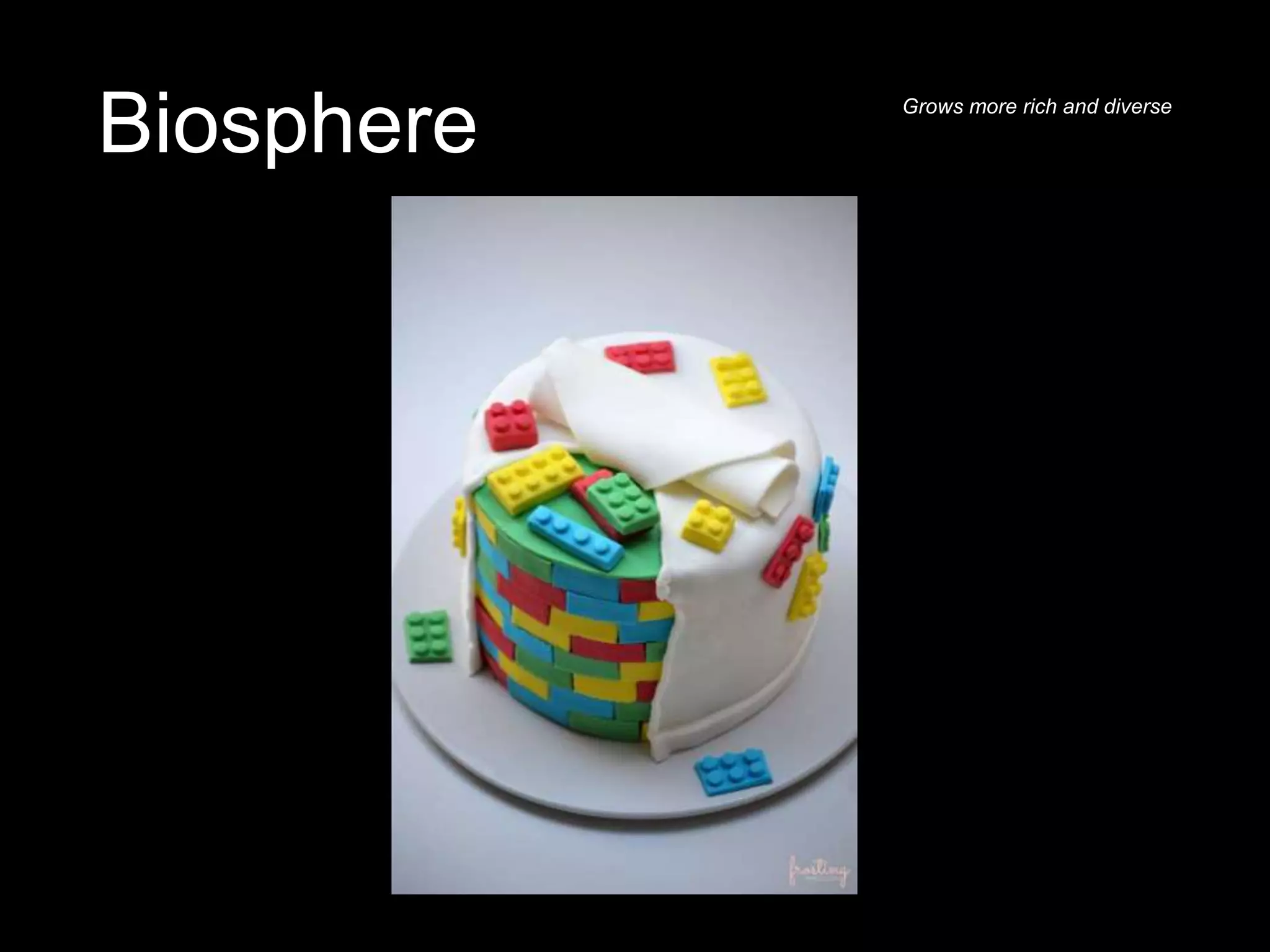 Biosphere Grows more rich and diverse
 