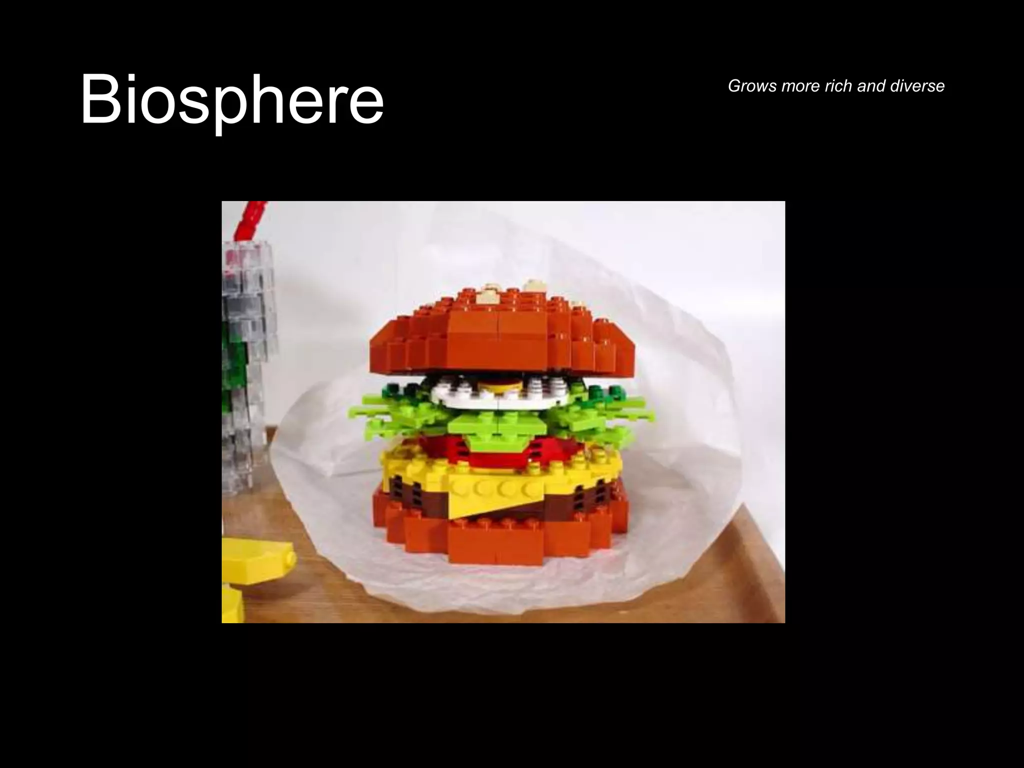 Biosphere Grows more rich and diverse
 