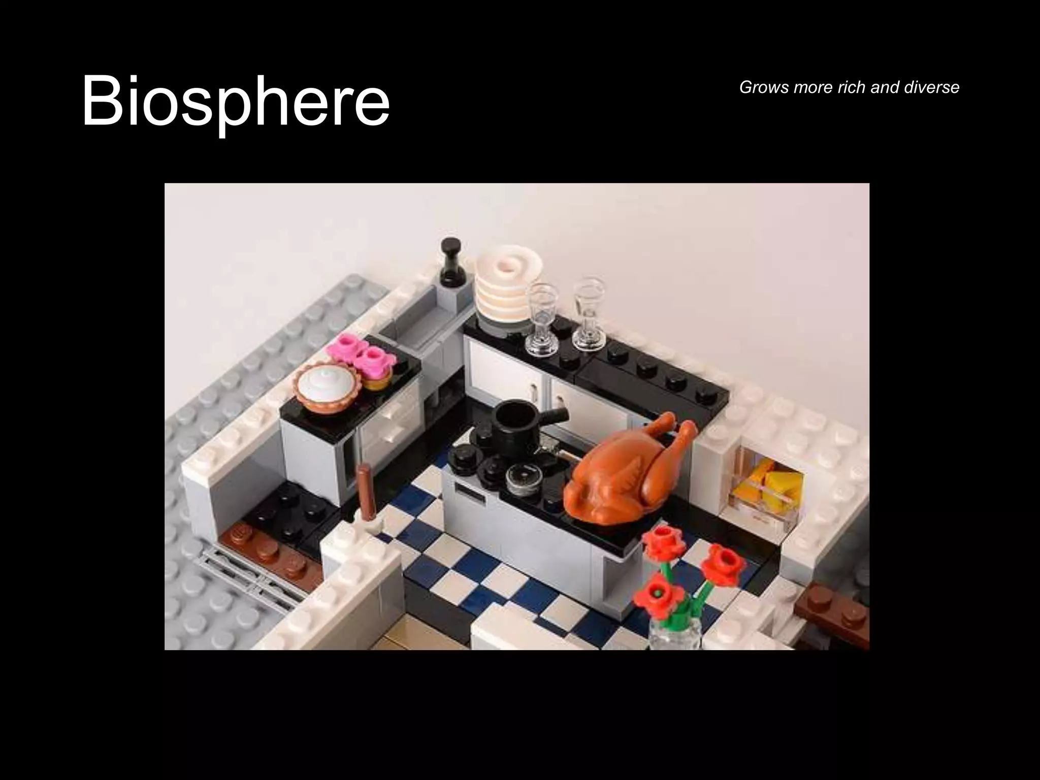 Biosphere Grows more rich and diverse
 