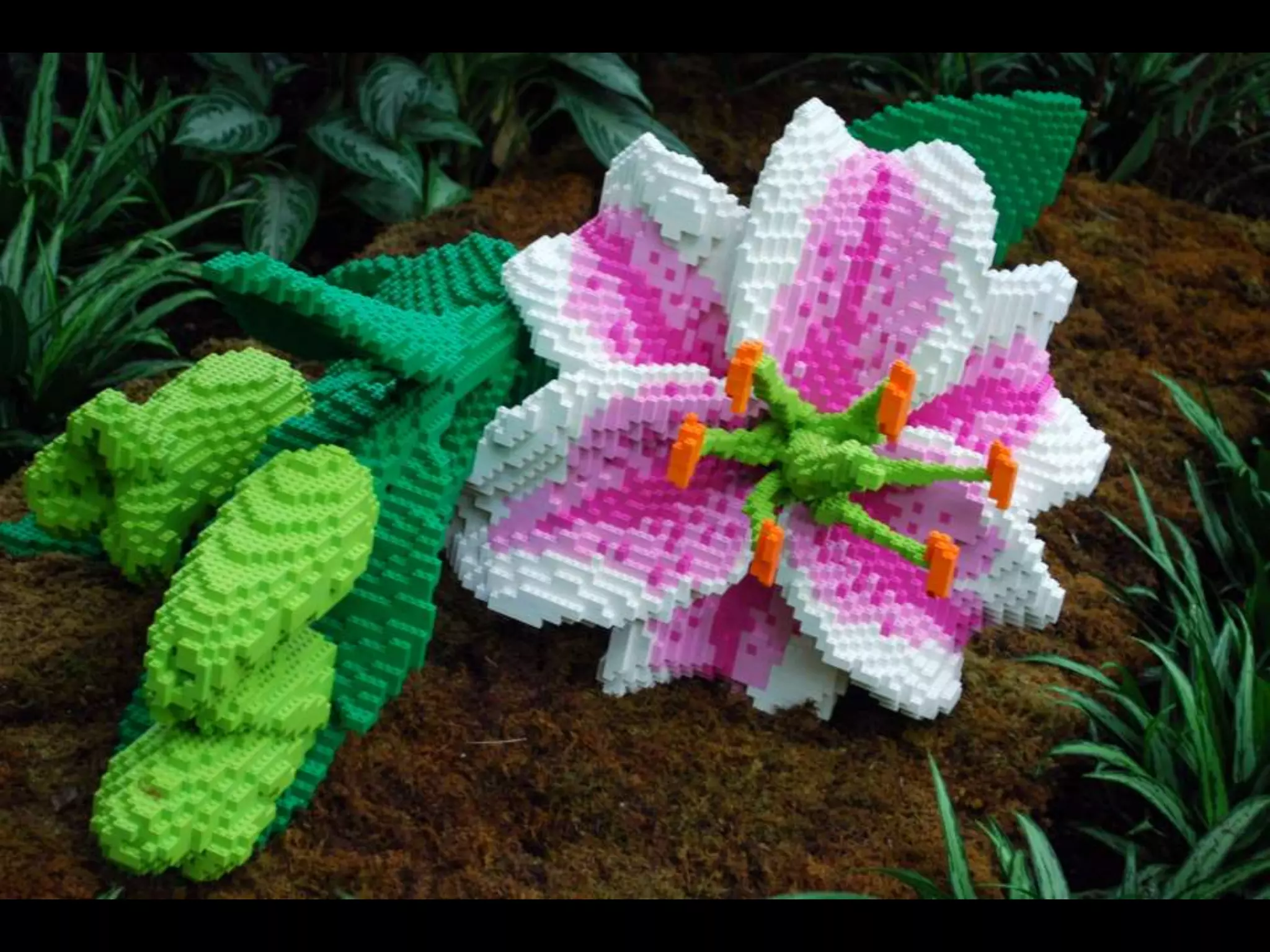 Biosphere Grows more rich and diverse
 