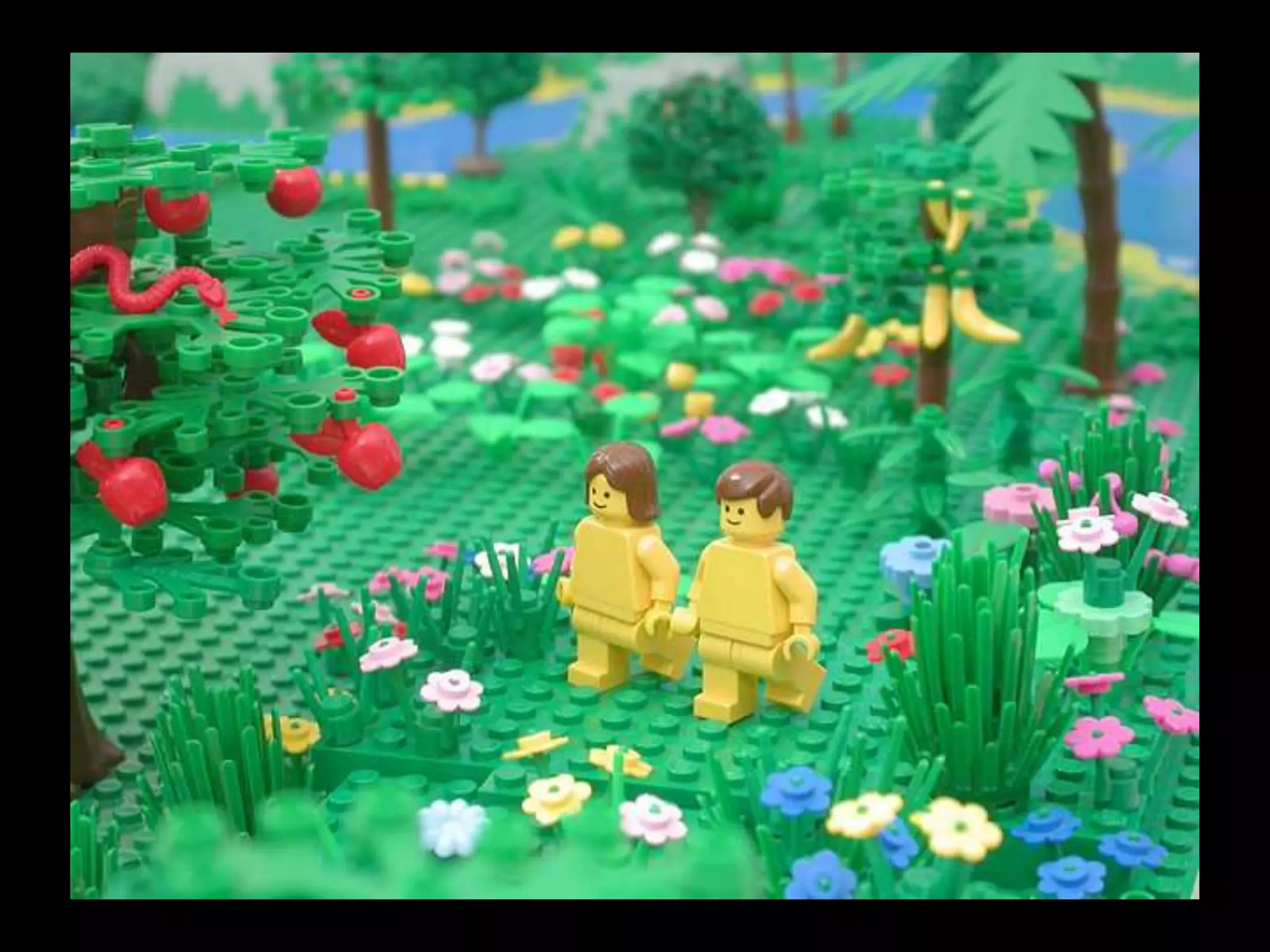 Biosphere Grows more rich and diverse
 