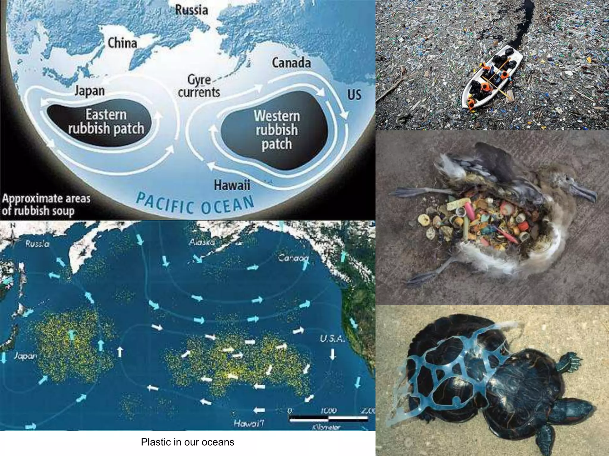 Plastic in our oceans
 