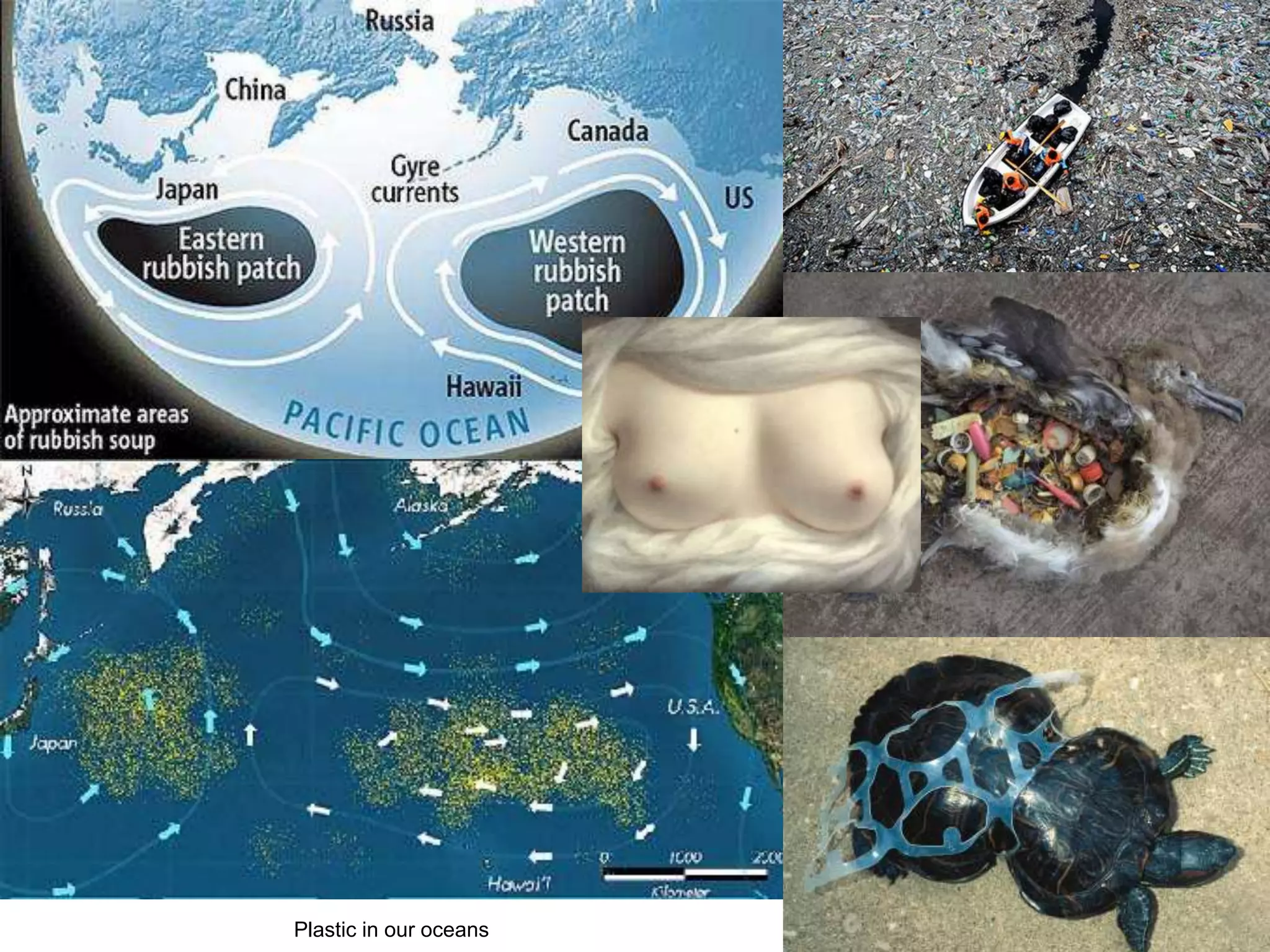 Plastic in our oceans
 