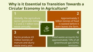 Strategies for Advancing Circular Economy in Sustainable Agriculture | PPTX