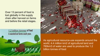 Strategies for Advancing Circular Economy in Sustainable Agriculture | PPTX