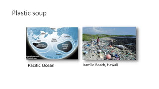 Plastic soup
Kamilo Beach, HawaiiPacific Ocean
 