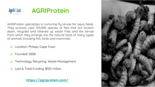 AGRIProtein
AGRIProtein specializes in nurturing fly larvae for aqua feeds.
They process uses 125,000 species of flies that are broken
down, recycled and cleaned up waste Flies and the larvae
from which they emerge are the natural food of many types
of animals including fish, birds and mammals.
https://agriprotein.com/
❏ Location: Philippi, Cape Town
❏ Founded: 2008
❏ Technology: Recycling, Waste Management
❏ Last & Total Funding: $105 million
 