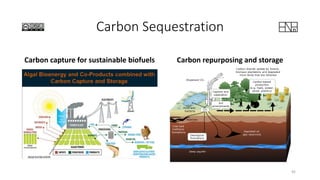 Carbon Sequestration
Carbon capture for sustainable biofuels Carbon repurposing and storage
45
 