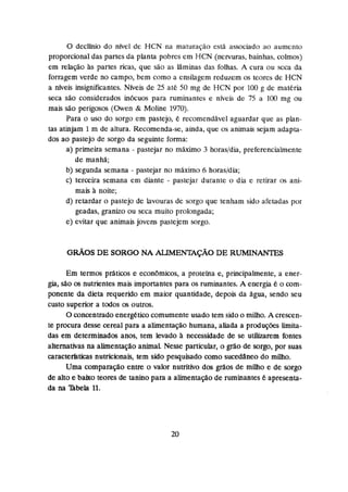 O declínio do nível de HCN na maturação esta associado ao aumento
proporcional das pafles da planta pobres em HCN (nervuras, bainhas, colrnos)
em relação às partes ricas, que são as Ifiminas das folhas. A cura ou seca da
forragem verde no campa, bem como a ensilagern reduzem os teores de HCN
a níveis insignificantes. Nfveis de 25 atk 50 rng de HCN por 100 g de materia
seca s%oconsiderados inhuos para ruminantes e nfveis de 75 a 100 rng ou
mais sã^ perigosos (Owen & Maline 1970).
Para o usa do sorgo em pastejo, e recarnenddvcI aguardar que as plan-
tas atinjam 1 rn de altura. Recomenda-se, ainda, que os animais sejam adapta-
dos ao pastejo de sorgo da seguinte forma:
a) primeira semana - pastejar no máximo 3 horas/dia, preferencialmente
de manhã;
b) segunda semana - pastejas no m h h o 6 horasldia;
c) terceira semana em diante - pastejar durante o dia e retirar os ani-
mais noite;
d) reáardar o pastejo de lavouras de sorgo que tenham sido afetadas por
geadas, granizo ou seca muito probngada;
e) evitar que animais jovens pastejem sorgo.
Em temos prátiços e econbrnicos, a proteina e, principalmente, a ener-
gia,silo as nutrientes mais importantes para os ruminantes. A energia é o com-
ponente da dieta requerido em maior qtian~dade,depois da Sigua, sendo seu
custo superior a todos os outros.
Oconcentradoenergeticu cornumente usado tem sidoa milho. A çrescen-
te procura desse cereal para a alimentação humana, aliada a produç- lunita-
das em determinados anos, tem levado 2 necessidade de se utilizarem fontes
alternativas na alimentaçilo animal. Nesse particular, o grão de sorgo, por suas
mracterWhs nutricionais, tem sido pesquisado como sucedaneodo milho.
Uma çornparação entre o valor nutritivo dos @os de milho e de sorgo
de altoe baixo teores de tanino para a alimentaçãode ruminantes é apresenta-
da m Bbeh 11.
 
