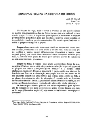 PRINCIPAIS PRAGAS DA ClJTLR4 DO SORGO
Na lavoura de sorgo, plnde-se notar ri prcxnc;a de um grande niimern
de insetos, principalmente na fasc de florcscimcnto,mas nem tMos ali presen-
tes são pragas. Ponanto. C imporiantc para o produtor reconhecer as espkcies
potencialmente prejudiciais, para que medidas de controle scjarn tomadas em
tempo hábii, evitando-se prejuizos econfirnicos. De maneira gcral, podemos re-
sumir as pragas do sargo em 3 grupos:
Pragas subterrtlneas - são inictos que danificam as serncnzes c/ou o skte-
ma radicular, destacando-se a larva a r a m c I> bicho-bolo. Inclui-se neme gm-
po lambem a Iagarra elasmo (Elasmtlpalpus lignr)sclSus) c lagarta rosca
( A p t sipsiion),quesão de hilbiza scrni-subtcri5nco e causam a rnortc dc plAn-
tuhs. O controle desse grupo dc insetos pode ser leito atraves do trararnento
do solo com inseticidas granulados.
Pragas das f o b e çohm - nesse grupo são incluidas a broca da cana-
de-açúcar (Diatraea saccharalls),a lagarta do cartucho (Spodopkra frugipcrda),
o pulgão do milho (Rhopalosiphurn maydis) e o pulgão verde
(Schiraphis pminum). Dessas, a principal t o pulgao verde, que ataca as fo-
lhas baixeiras. Durante a alimentação, esc putgão introduz uma toxina na fo-
h,
causando inicialmente uma clorose, que termina com a mone da folha e
da pbnta, dependendo do nfvel de infestaçao. O controle pode ser feito com
inseticidas sistêmicos (%bela 23);nos ensaios desenvohidm no ÇNPMS, os pro-
dutos que tem dado melhores resultados so: clorpyiifos ethil e pirimicarb.
Os insetos que atacam a pankula tem menor impostancia para a produ-
ção de forragem do que para a produção de grãos. Desses, destaca-se a mos-
ca do sorgo (Contaruiia sorghicola),que causa o chochamento nas espiguetas
infestadas.
' ~ n g -
Agr., Bh.D. EMBRAPAtCtntio Nacional de Pesqub de Milho e C
i
o
r
g
o (CNPMS). &#a
Postal 151 CEP 35700 Sete Lagm~,MÇj.
 