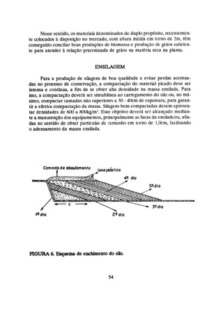 Nesse sentido, os materiaisdenominados de duplo propbsito, xcentemen-
te calwados à disposição na mercado, com altura media cm torno de 2m,tem
conseguido concijiar boas produçks de biomassa e produção de gr8os suficien-
te para atender h relaçho preconipada de gráoç na mat&riaseca na planta.
Para a produçlio de silagens de boa qualidade e evitar perdas acentua-
das no proçesso de conservação, a compactação do material picado deve ser
intensa e continua, a fim de se obter alta densidade na massa ensihda. Para
&o, a mpactaçao deved ser simultânea ao carregamento do siio ou, no md-
xitno, compactar amadas não superioresa 30 - 40cm de espessura, para garan-
tir a ekfiva eompactaçãjo da massa. Srlagensbem compactadasdevem apsesen-
tar densidades de 6041 a 8130kglrn3.Esse objetivo devcrCi ser alcançado median-
te a manutensfiodos equipamentos, principalmente as facasda eni;iladckd,afia-
das no sentido de obter partículas de tamanho em torno de 3,0cm, faciiitando
o adensamentoda massa asilada.
d: 40- dia
.f-dio Z0 dia
FíOURA6 Esqmma de enchimento do sib.
 