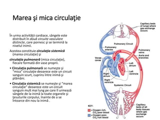 circulatia-sanguina-si circulatia-limfatica.ppt