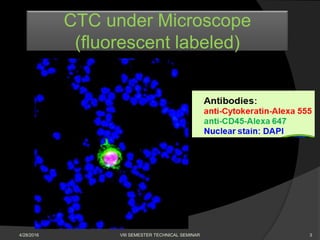 CTC under Microscope
(fluorescent labeled)
3VIII SEMESTER TECHNICAL SEMINAR4/28/2016