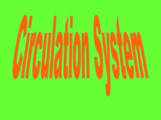 Circulation System 