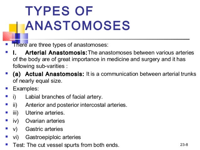 circulation anastomosis