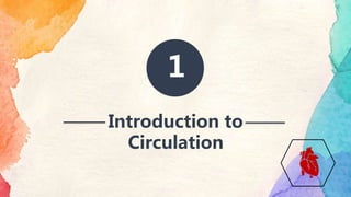 Circulation | PPT