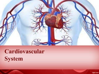 Cardiovascular
System
 