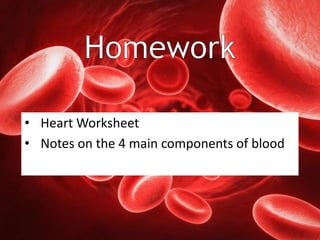 Heart and Blood Circulation in the Human Systemppt | PPT