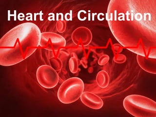 Heart and Circulation
 