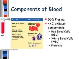 Components of Blood
 55% Plasma
 45% cellular
components
– Red Blood Cells
(RBC)
– White Blood Cells
(WBC)
– Platelets
 