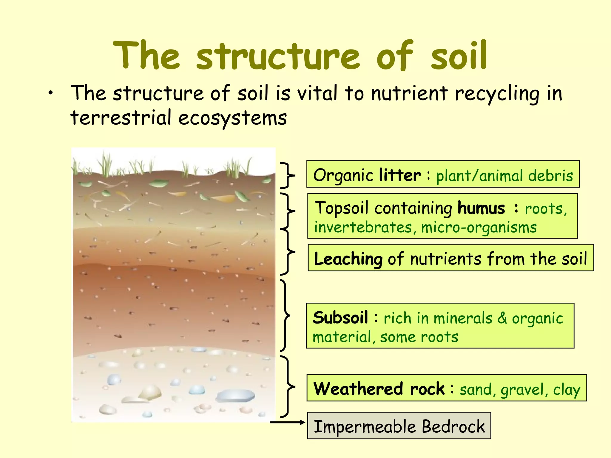 The structure of soil   The structure of soil is vital to nutrient recycling in terrestrial ecosystems Organic  litter  :  plant/animal debris Topsoil containing  humus :   roots,  invertebrates, micro-organisms Leaching  of nutrients from the soil Subsoil  :  rich in minerals & organic  material, some roots Weathered rock  :  sand, gravel, clay Impermeable Bedrock 