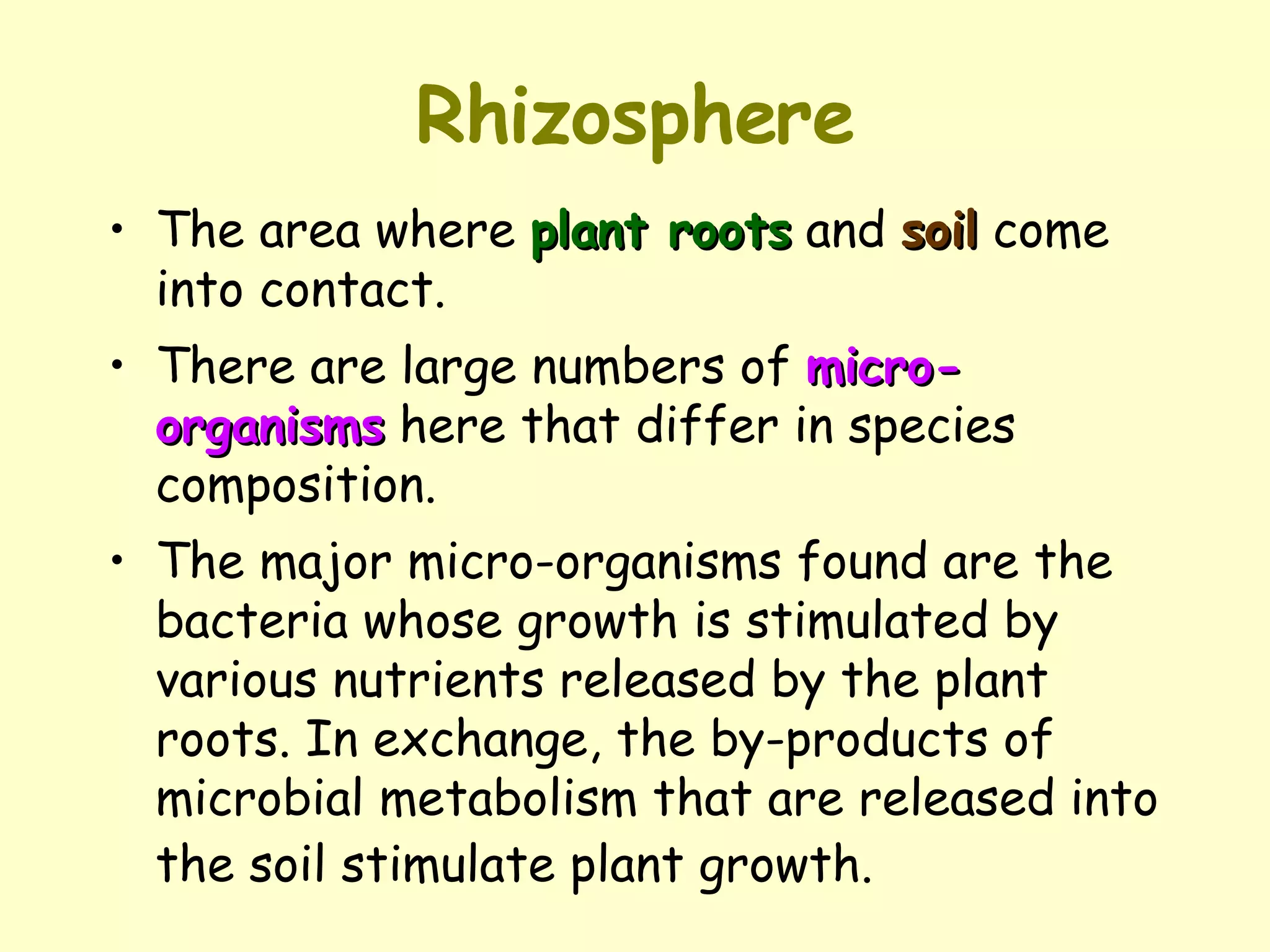 Rhizosphere The area where  plant roots  and  soil  come into contact.  There are large numbers of  micro-organisms  here that differ in species composition.  The major micro-organisms found are the bacteria whose growth is stimulated by various nutrients released by the plant roots. In exchange, the by-products of microbial metabolism that are released into the soil stimulate plant growth.   